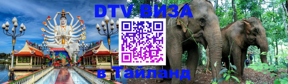 Оформление DTV визы под ключ: стоимость и тарифы, только загранпаспорт - Ангарск  05.10.2025 